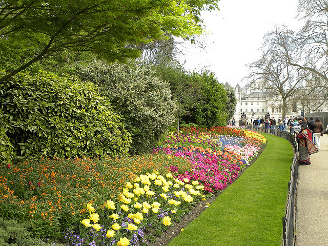 View of St. James Park, London
