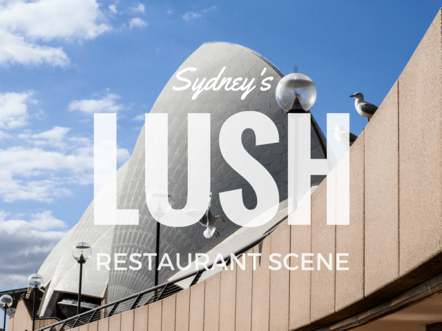 sydneyslushrestaurantscene