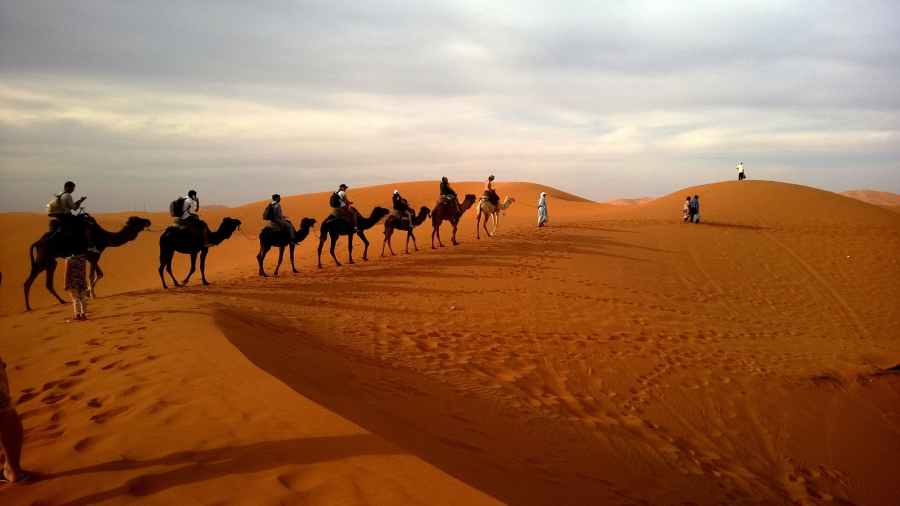 Desert Safari in Dubai