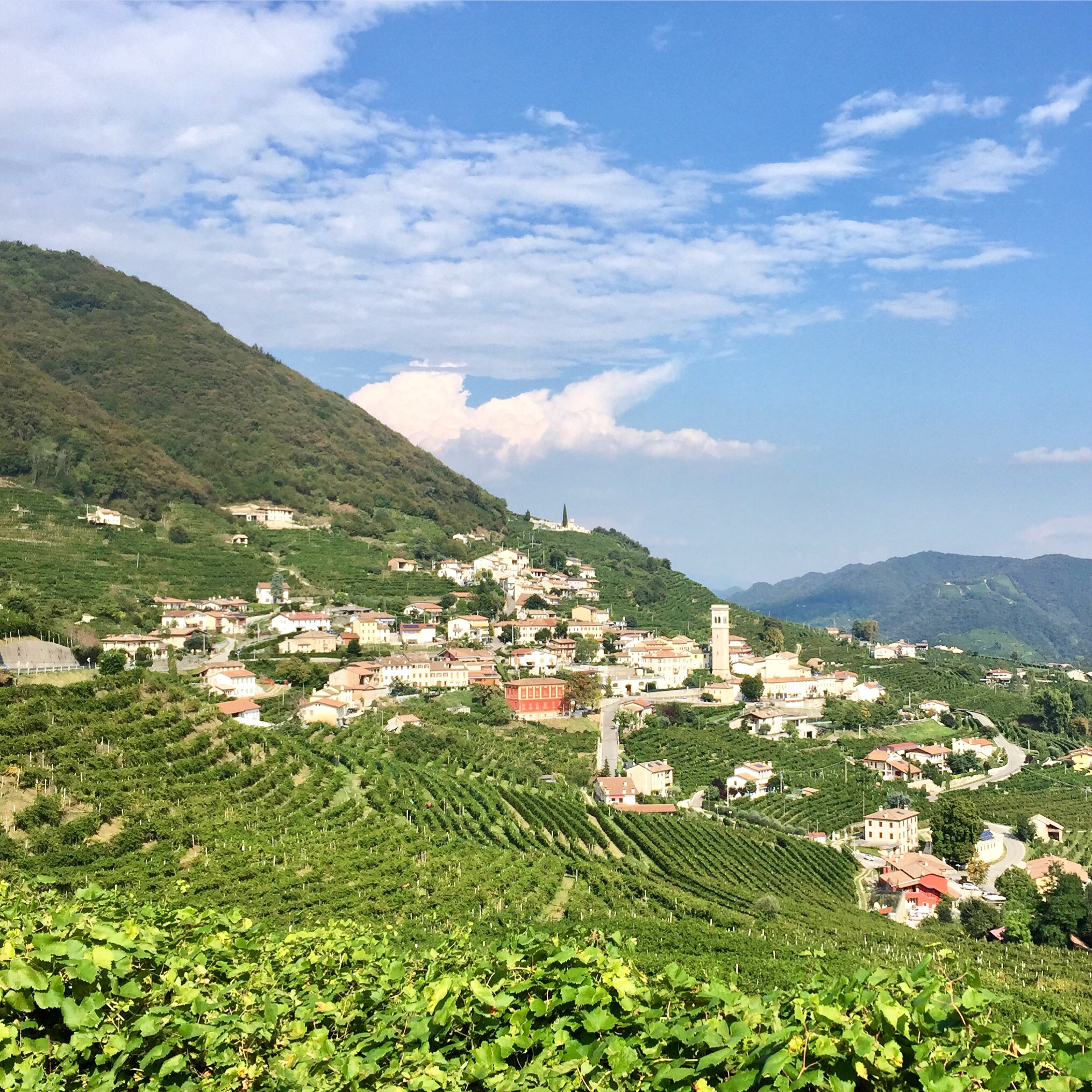 A view of the hills of the Prosecco region in Italy
