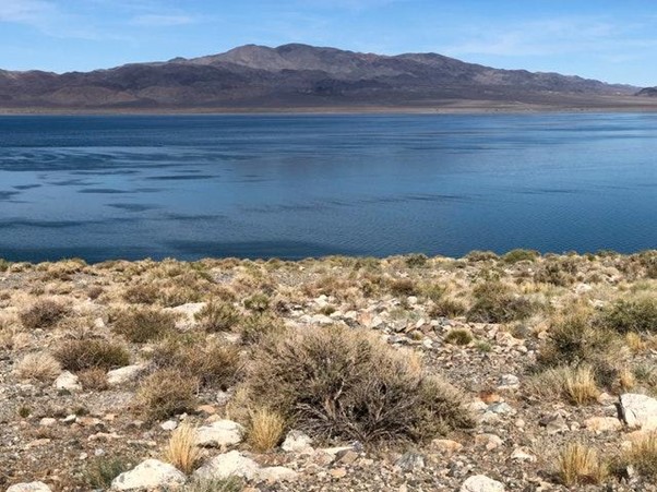 Lakes and state parks, one of the reasons to visit Nevada