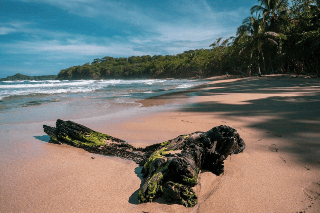 A beach in Costa Rica
