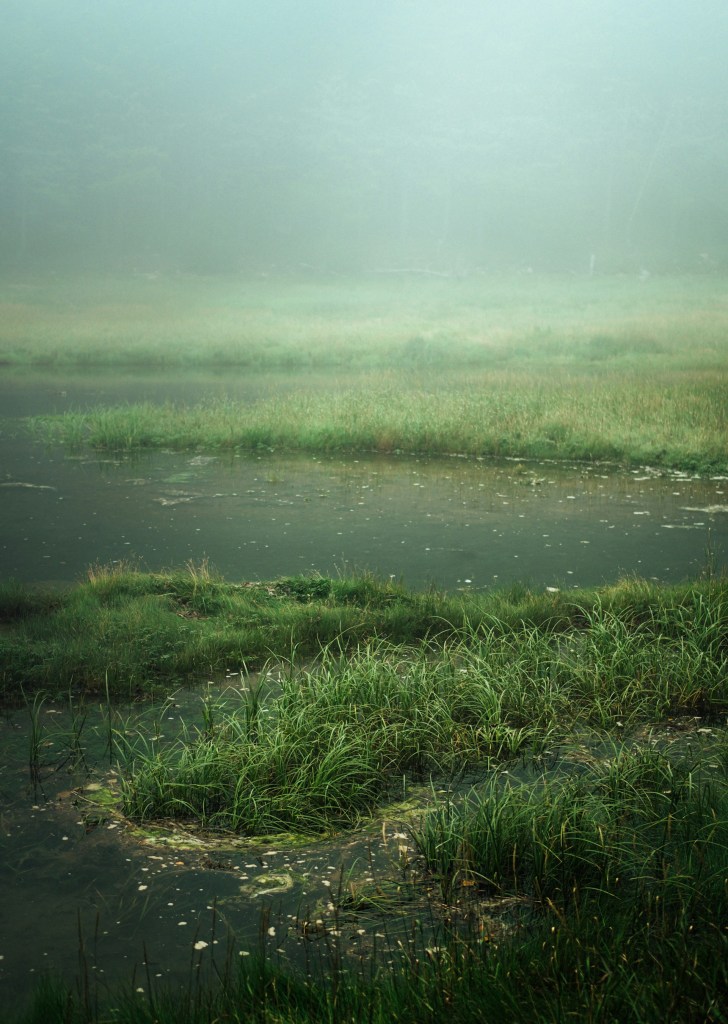 A body of water in Cape Chignecto
