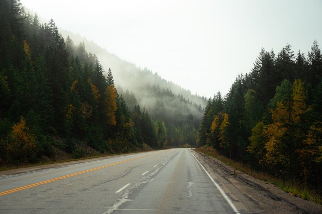Empty scenic mountain road surrounded by misty forest during off-season travel adventure
