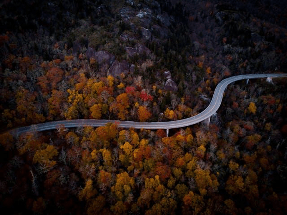 winding road cutting through a dense forest with autumn foliage in shades of yellow, orange, and red
